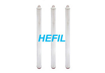 HCPT-PET Pleated Filter Cartridge